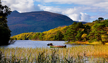 tour around ireland by car